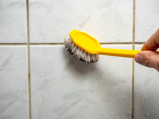 Best Home Mold Removal  in Larch Y, WA