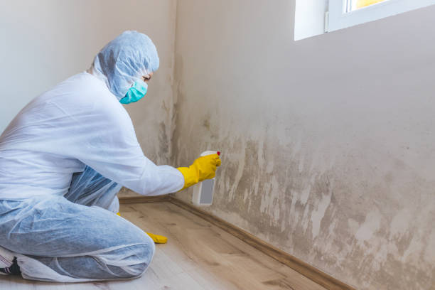 Best Mold Removal Specialists  in Larch Y, WA