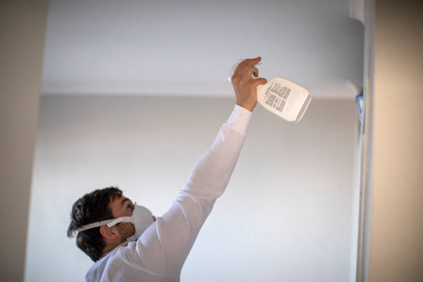 Best Water Damage Restoration  in Larch Y, WA