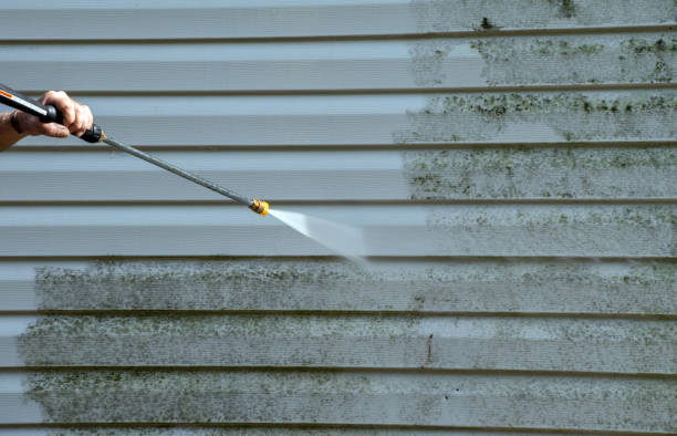 Best Mold Removal Company Near Me  in Larch Y, WA