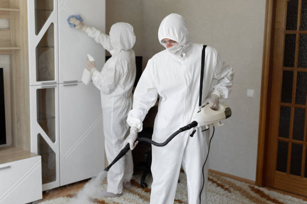 Best Mold Cleaning Services  in Larch Y, WA