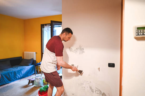 Best Fast Mold Removal  in Larch Y, WA
